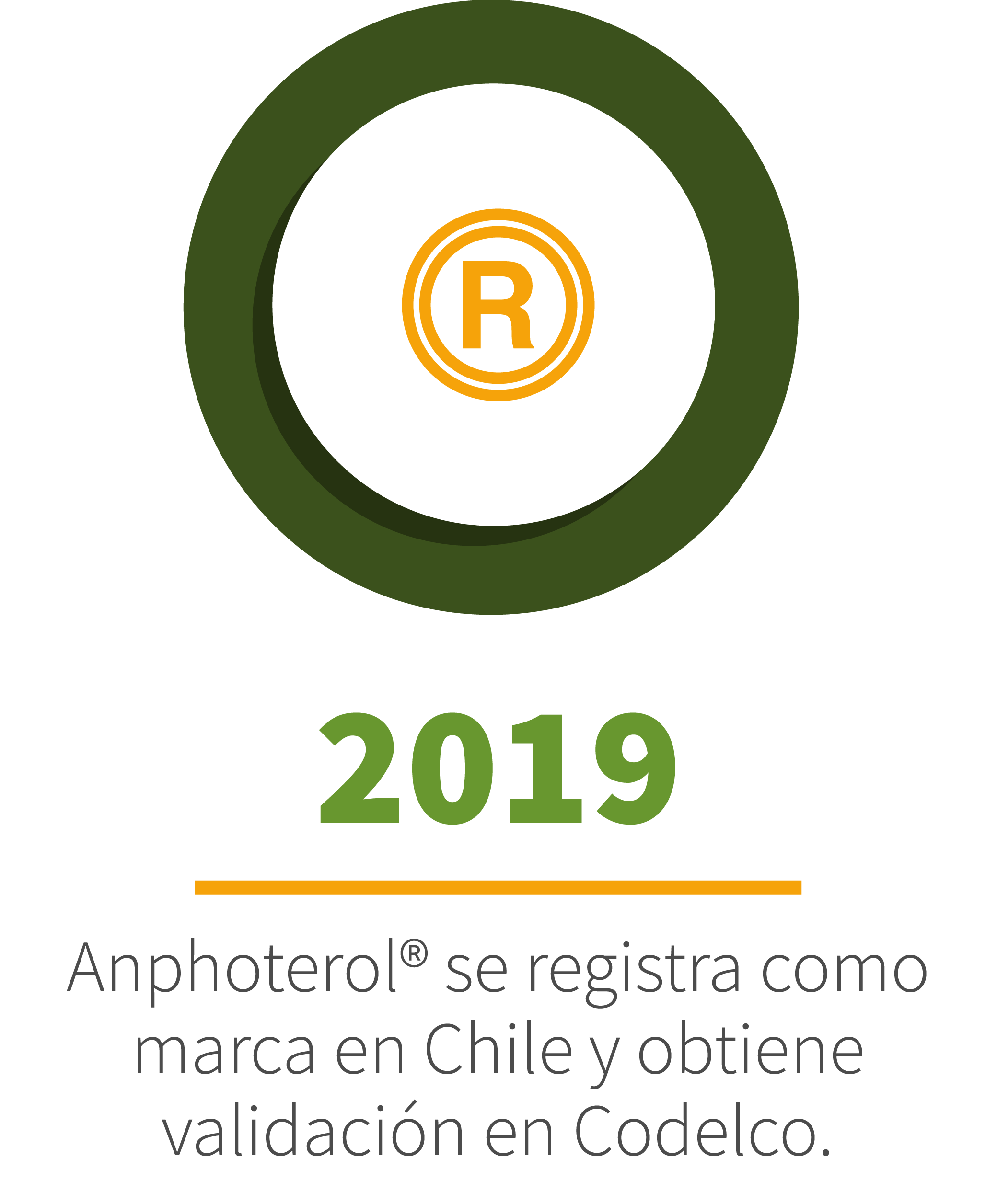 web nueva anphoterol-06